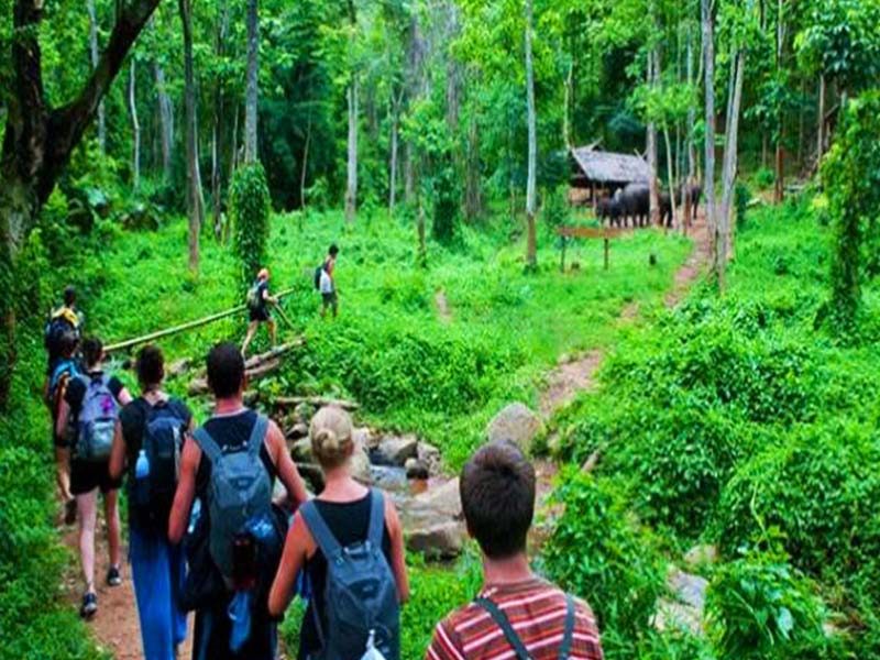 Hanoi - Ninh Binh - Cuc Phuong National Park - Van Long Wetland Nature Reserve - 1 Day Tour