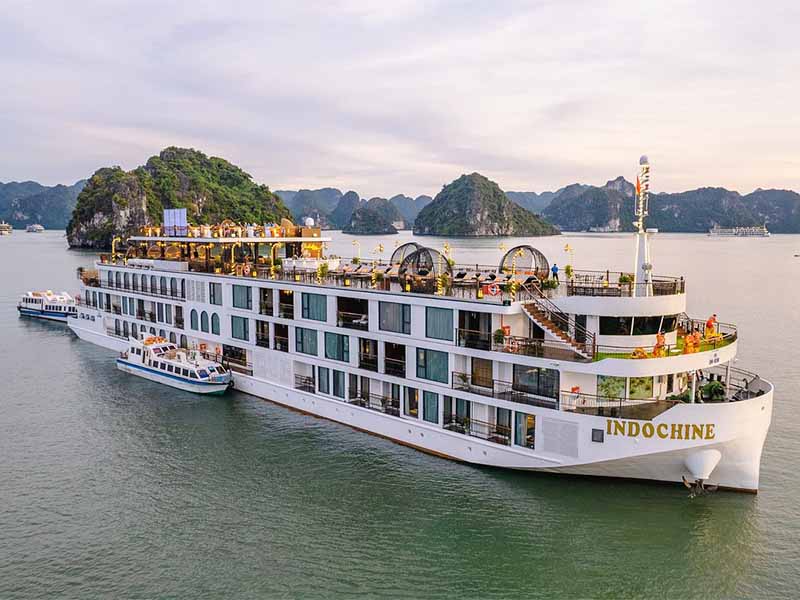 Indochine Premium Cruise - Halong Bay - 2 Days 1 Night 