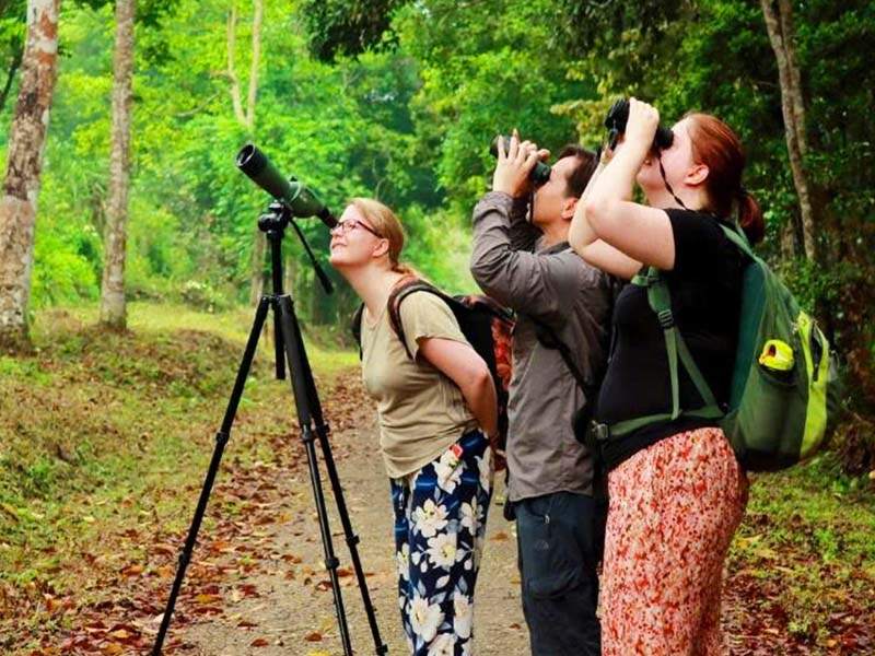 Hanoi - Ninh Binh - Hoa Lu - Trang An - Mua Cave - Cuc Phuong National Park - 2 Days 1 Night Tour