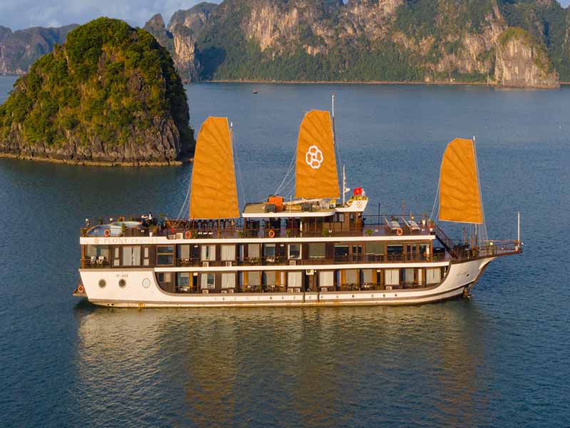 Peony Cruise - Lan Ha Bay & Cat Ba Island - 2 Days 1 Night