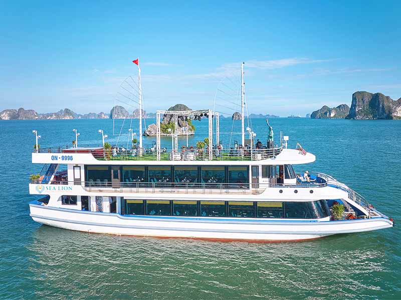 Sea Lion Cruise - Halong Bay - 1 Day Tour