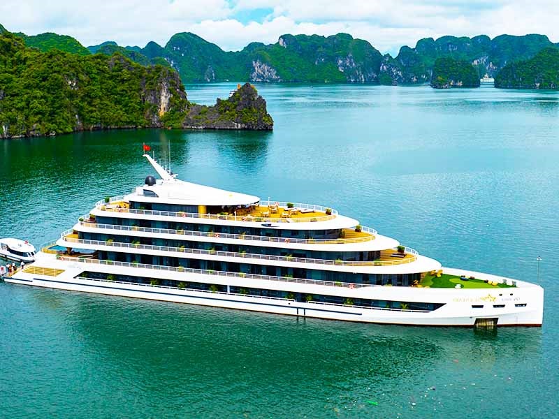 Sea Stars Cruise -  Halong Bay - 2 Days 1 Night