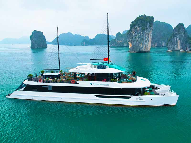 Halong Catamaran Cruise - Halong Bay & Lan Ha Bay - 1 Day Tour