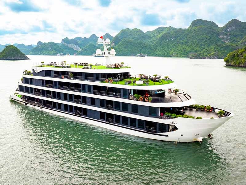 Venus Cruise - Halong Bay & Lan Ha Bay - 2 Days 1 Night
