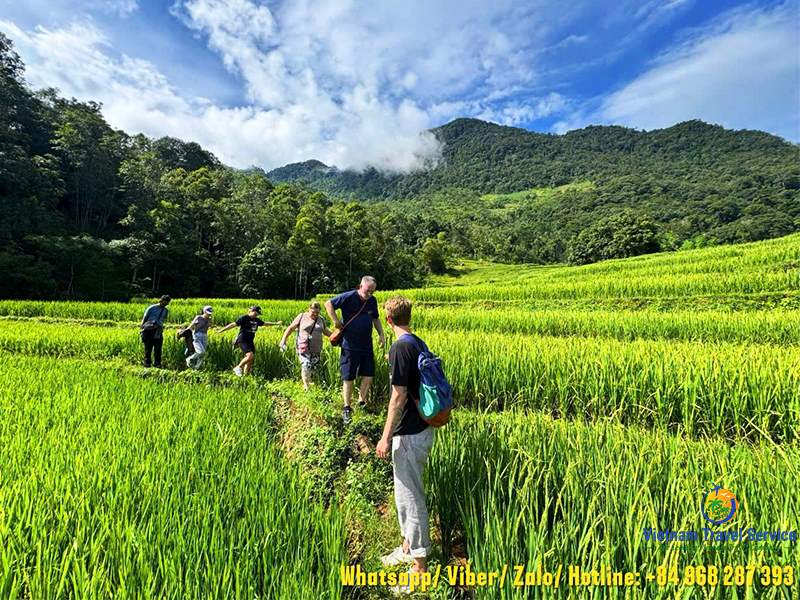 Hanoi - Mai Chau - Pu Luong - Ninh Binh - Halong Bay - Package Tour 5 Days 4 Nights | North Vietnam Travel
