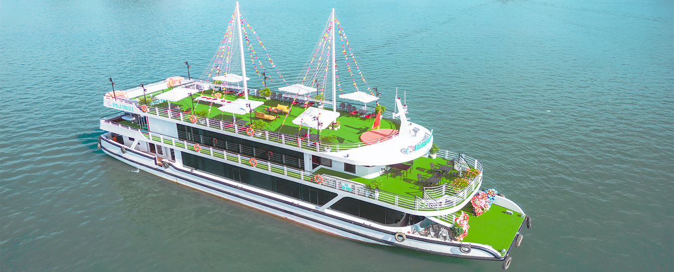 Apollo Premium Cruise - Halong Bay - 1 Day Tour